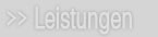 Leistungen